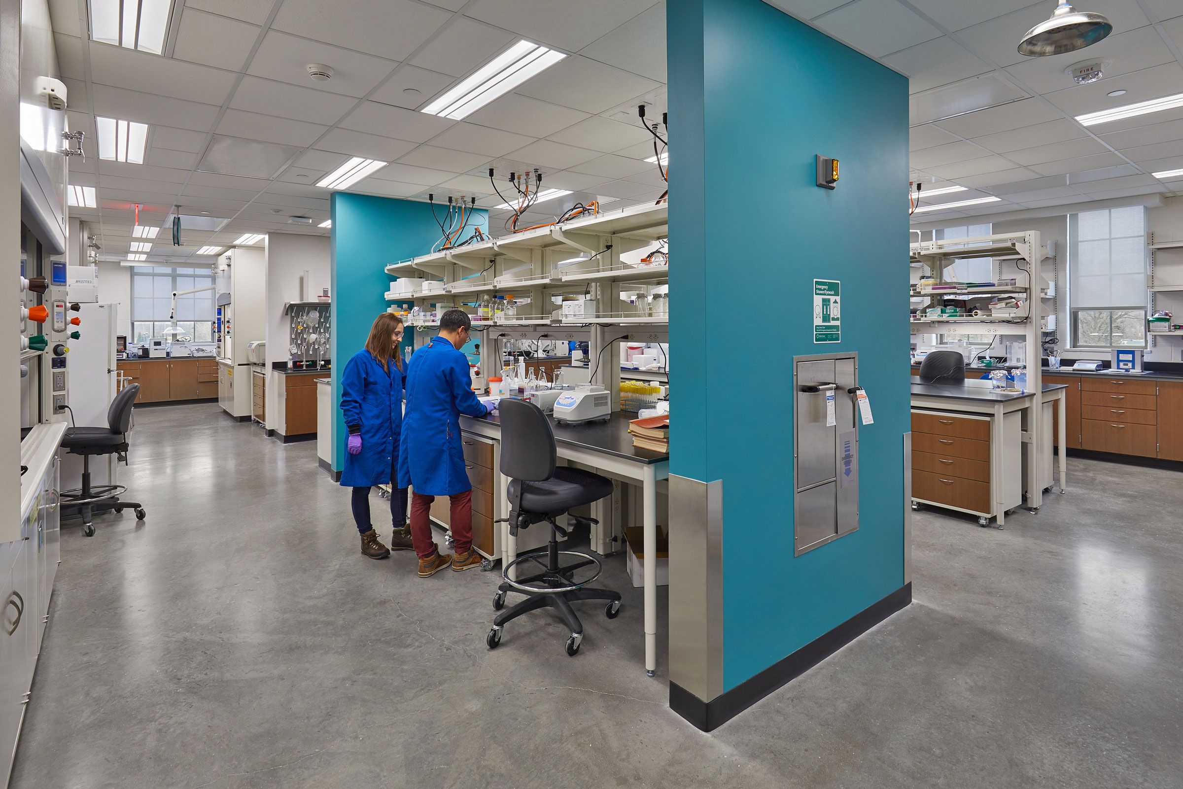 bsa lifestructures notre dame mccourtney lab gbd magazine