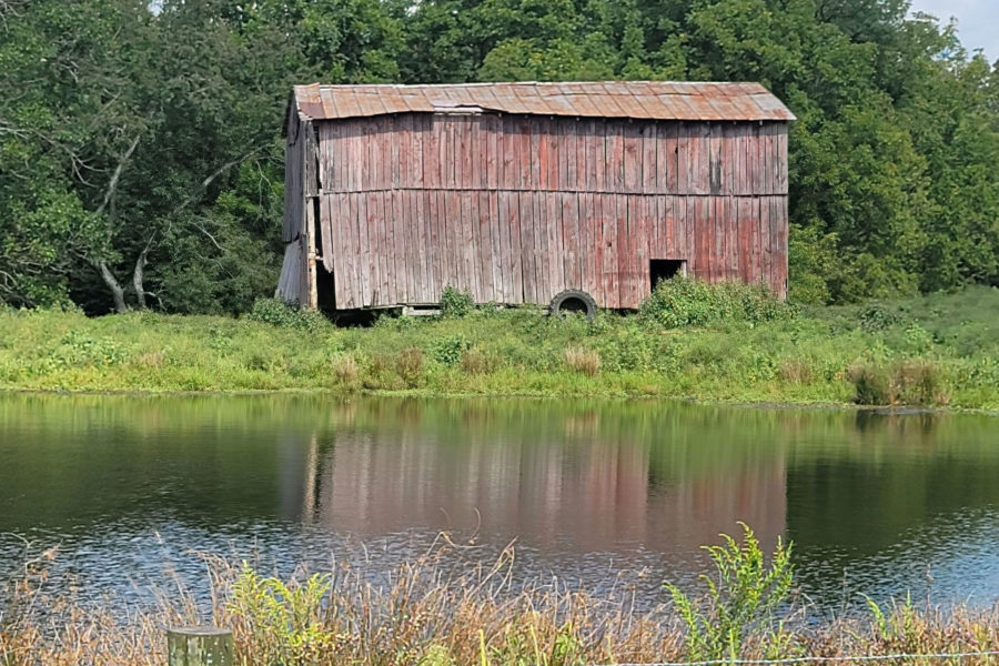 reclaimed wood green building woodstock ap gbd magazine