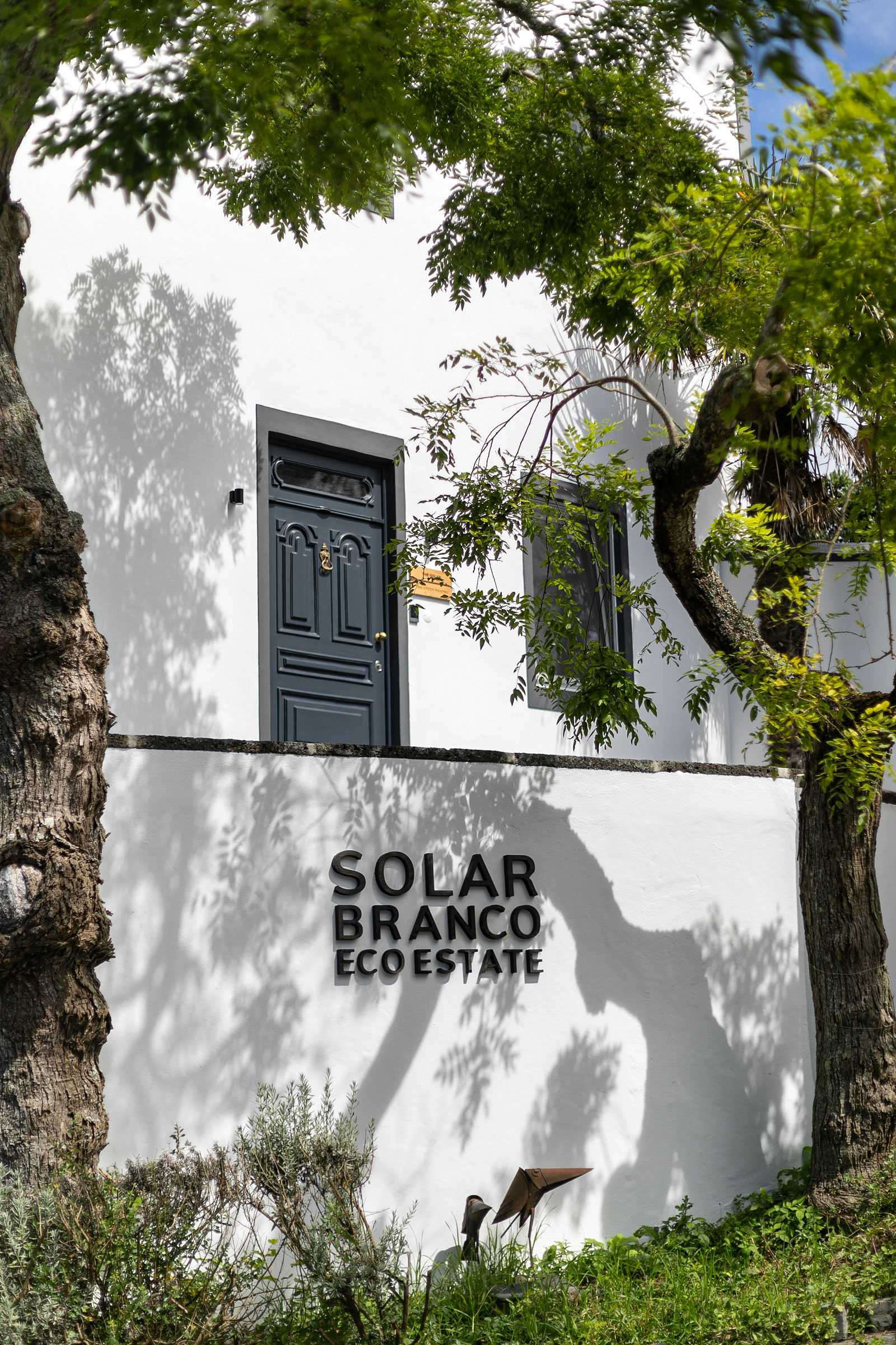 solar branco