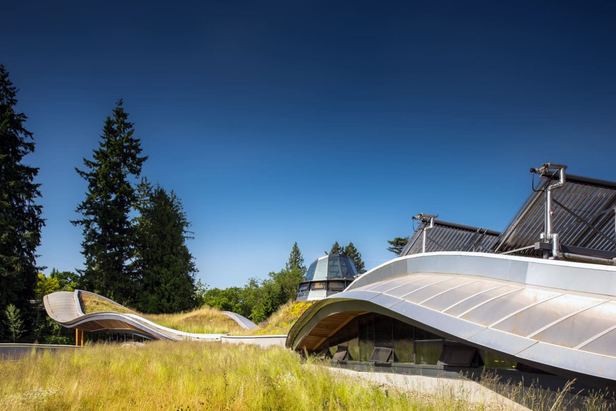 Green Roof Architek Van Dusen