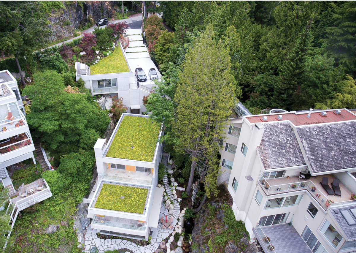 5 Ways to Create a Thriving Green Roof